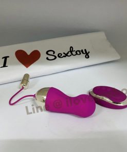 ไข่สั่นไร้สาย