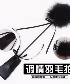 แส้ไม้หนังSM (ไม้ขนนก)