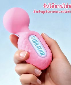 เครื่องนวดมินิ